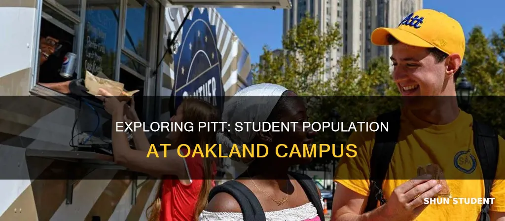 how many students at university of pittsburgh main campus