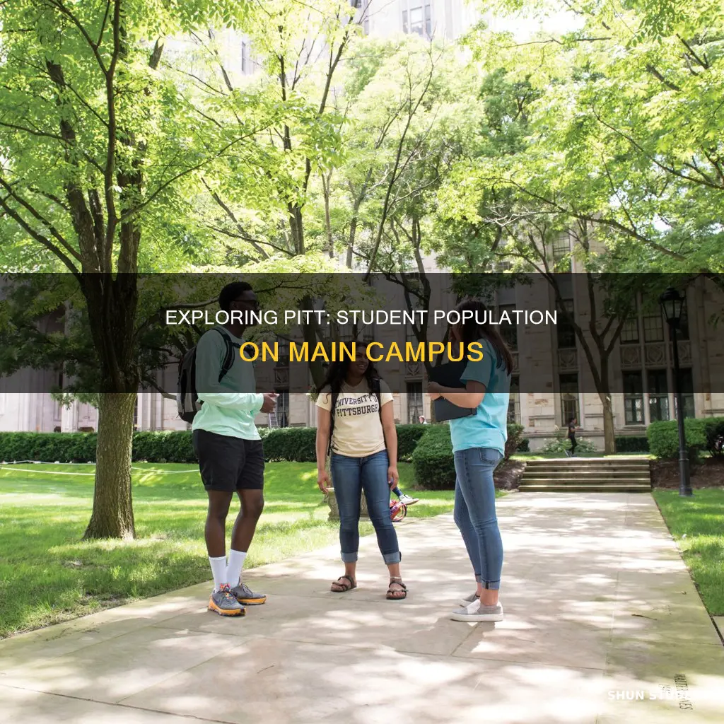 how many students at university of pittsburgh main campus