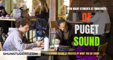 Puget Sound University: A Student-Centric Campus Community