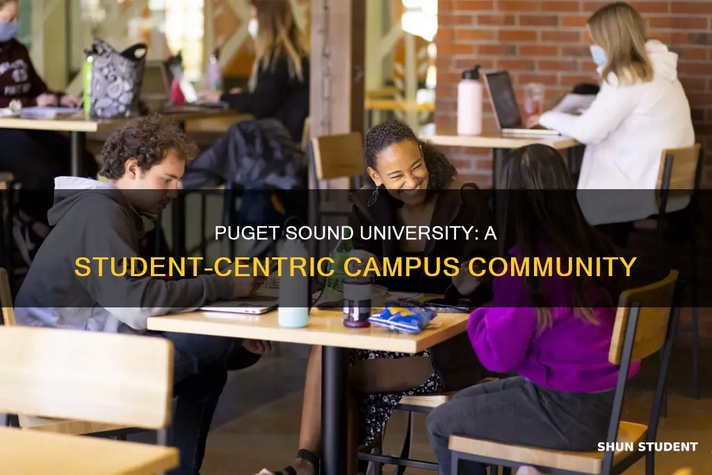 how many students at university of puget sound