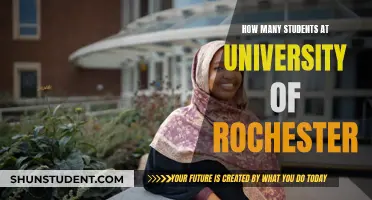 Rochester University's Student Population: How Many?