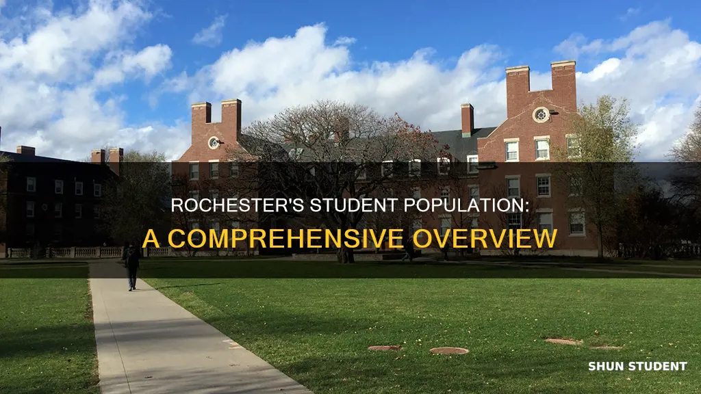 how many students at university of rochester