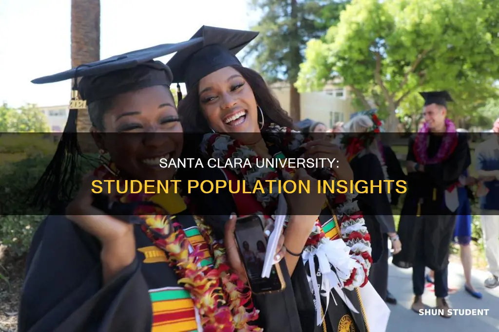how many students at university of santa clara