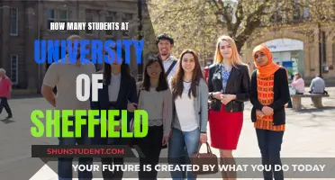 Sheffield University's Student Population: How Many Are There?