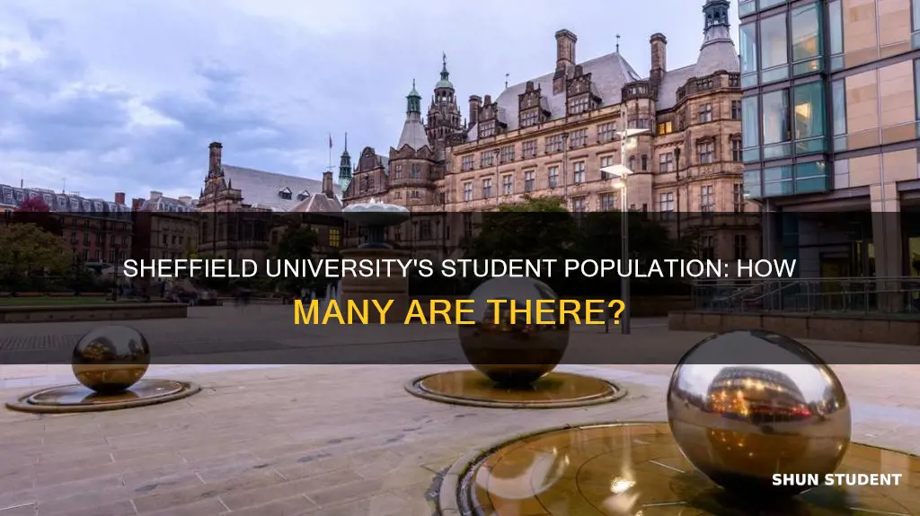 how many students at university of sheffield