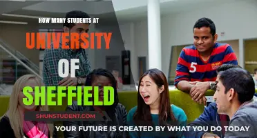 Sheffield University Student Population: How Many?