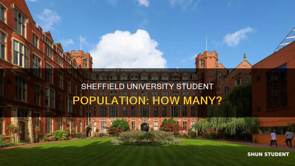 how many students at university of sheffield