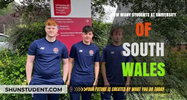 Exploring Student Population at the University of South Wales