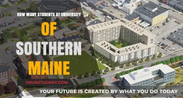 Southern Maine University: Student Population and You