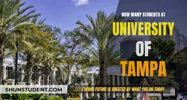 Exploring the University of Tampa's Student Population