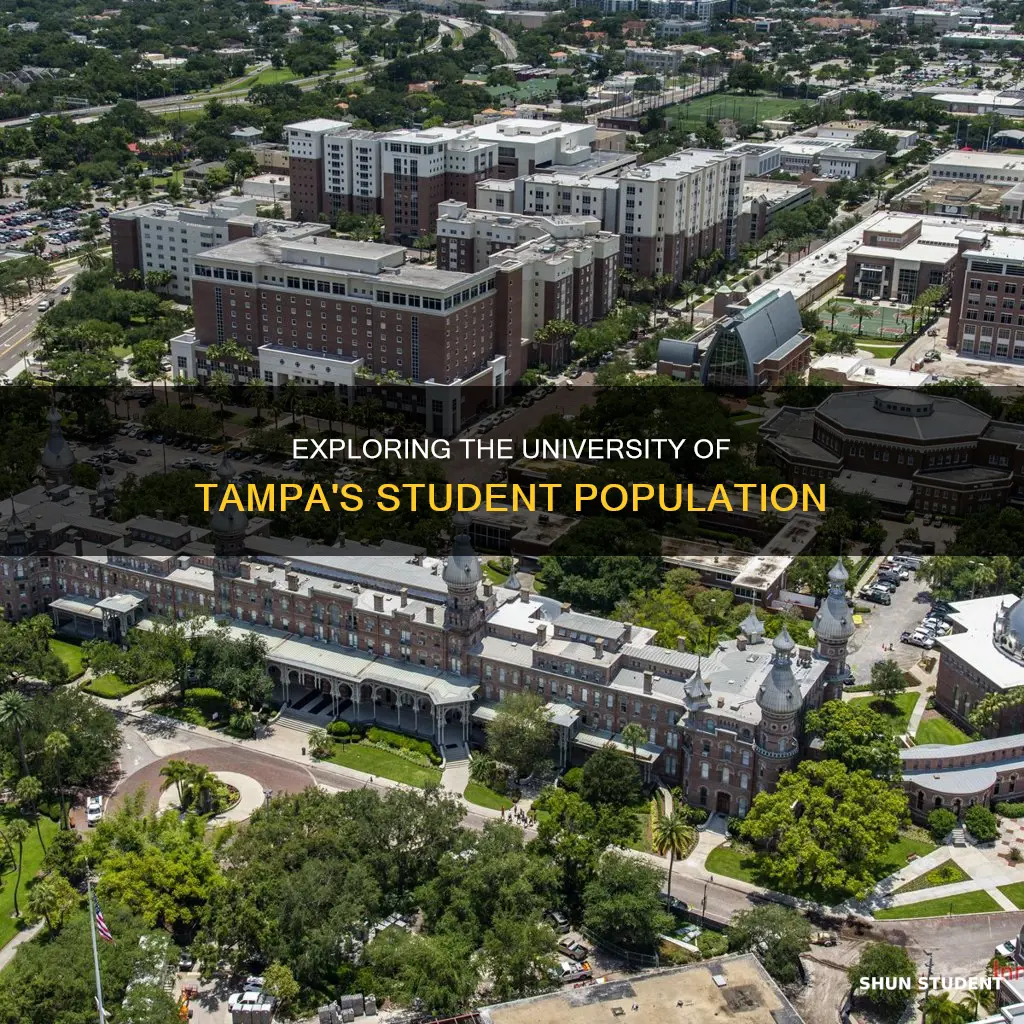 how many students at university of tampa