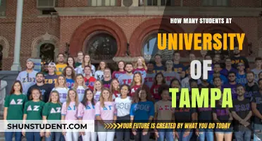 Tampa University's Student Population: A Comprehensive Overview