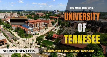 Exploring University of Tennessee: Student Population Insights