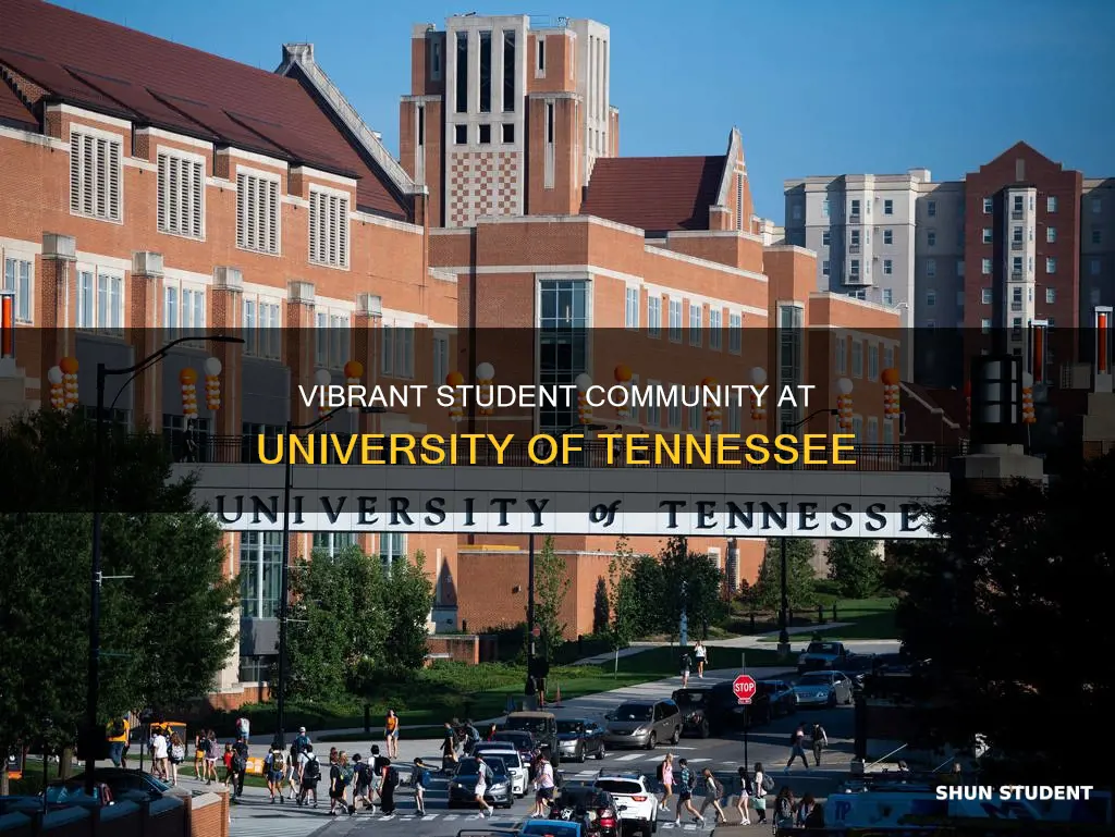 how many students at university of tennesee