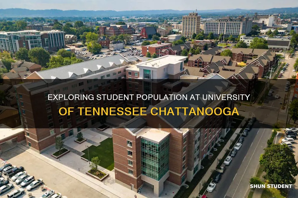 how many students at university of tennessee chattanooga