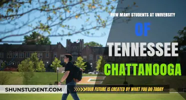Exploring Student Population at University of Tennessee Chattanooga