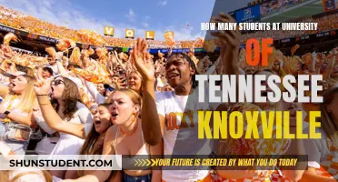 Knoxville's University of Tennessee: Student Population Insights