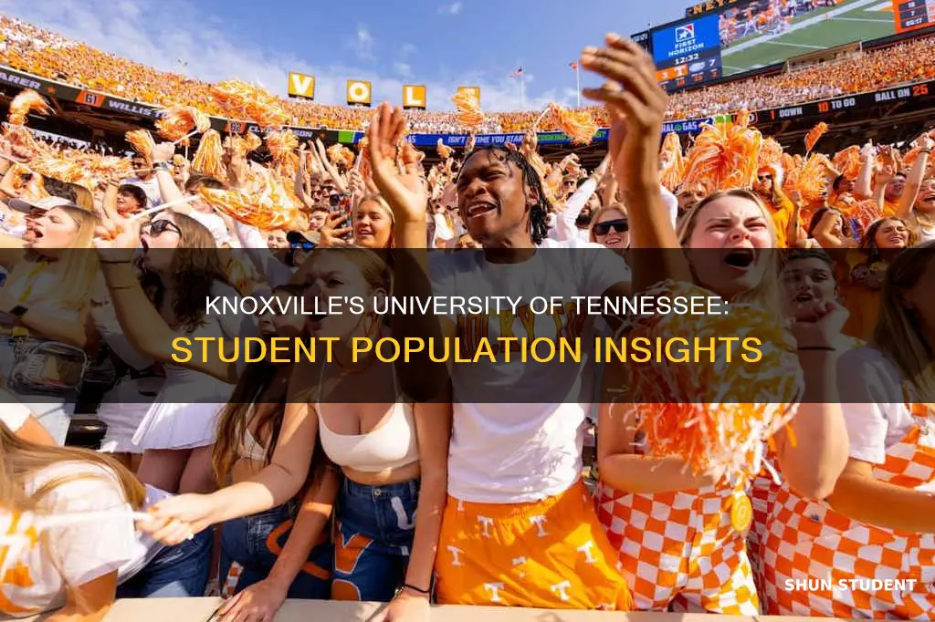 how many students at university of tennessee knoxville