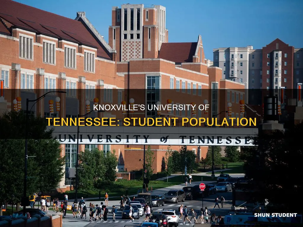 how many students at university of tennessee knoxville