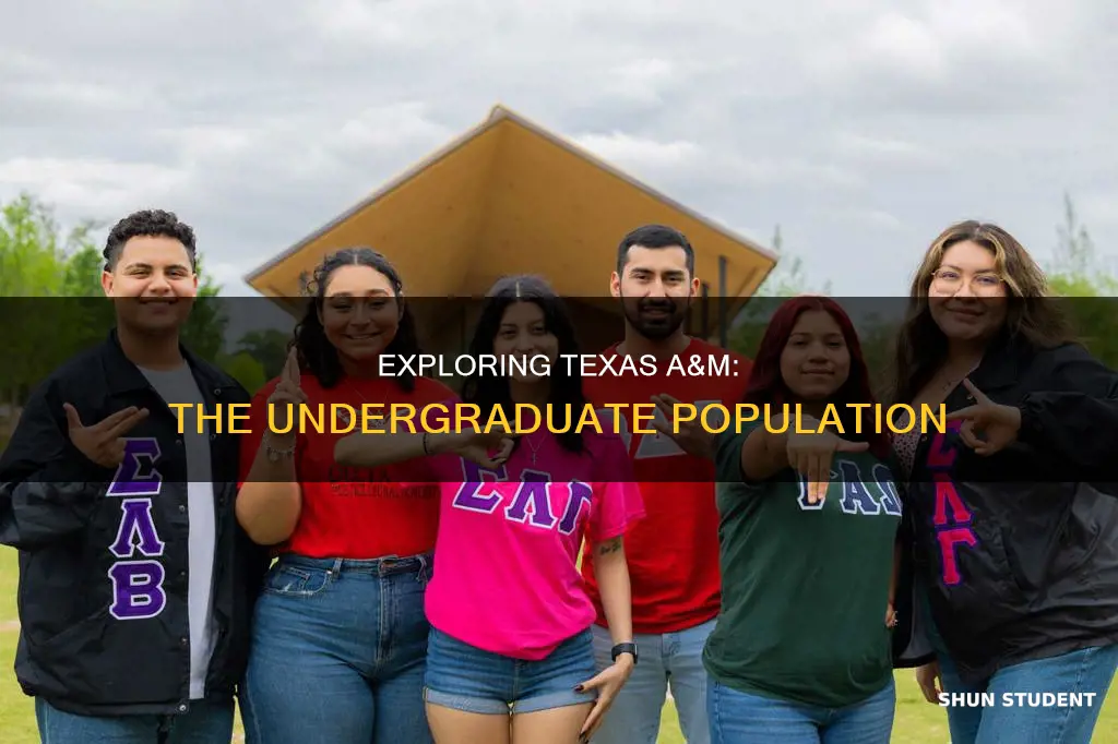 how many students at university of texas a m undergraduate