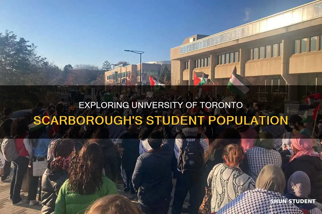 how many students at university of toronto scarborough