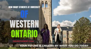 Western Ontario University: Student Population Insights