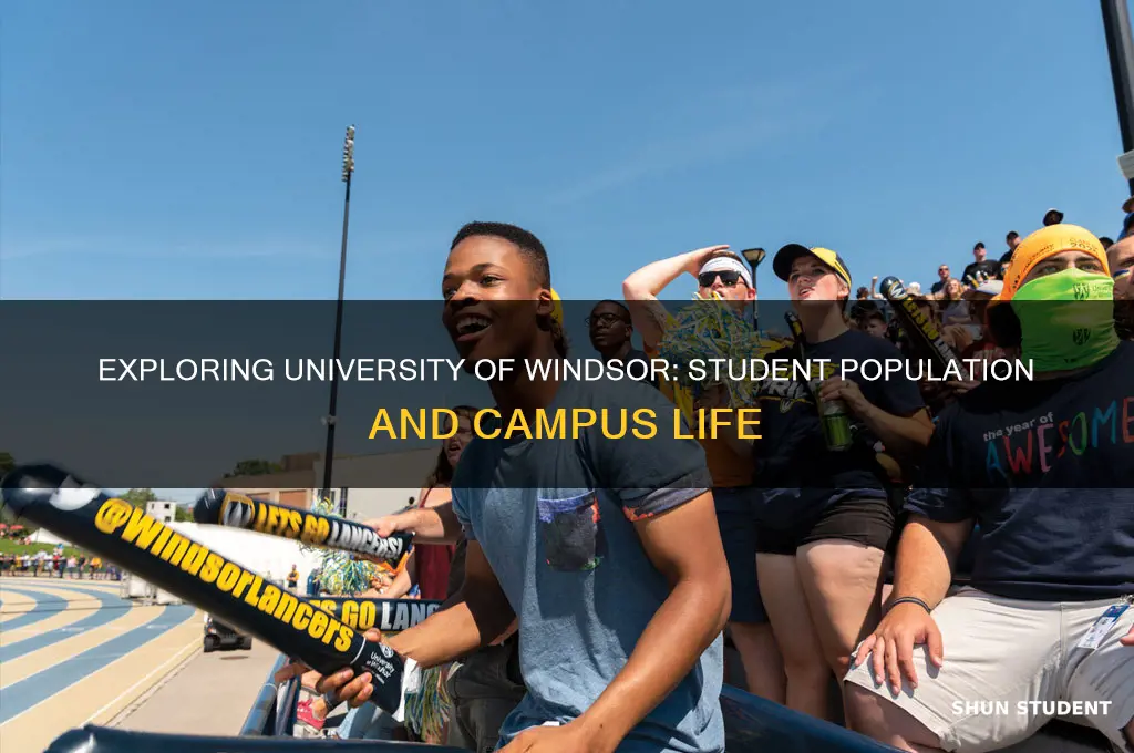 how many students at university of windsor