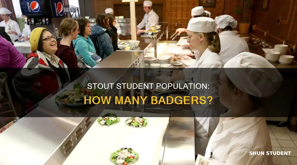 how many students at university of wisconisn stout