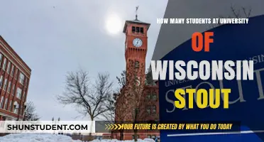 Stout Student Population: How Many Badgers?