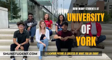 York University's Student Population: A Comprehensive Overview