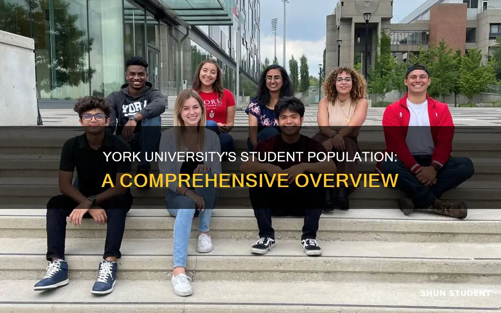 how many students at university of york