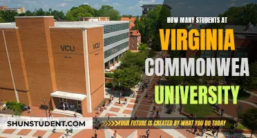 Exploring Student Population at Virginia Commonwealth University