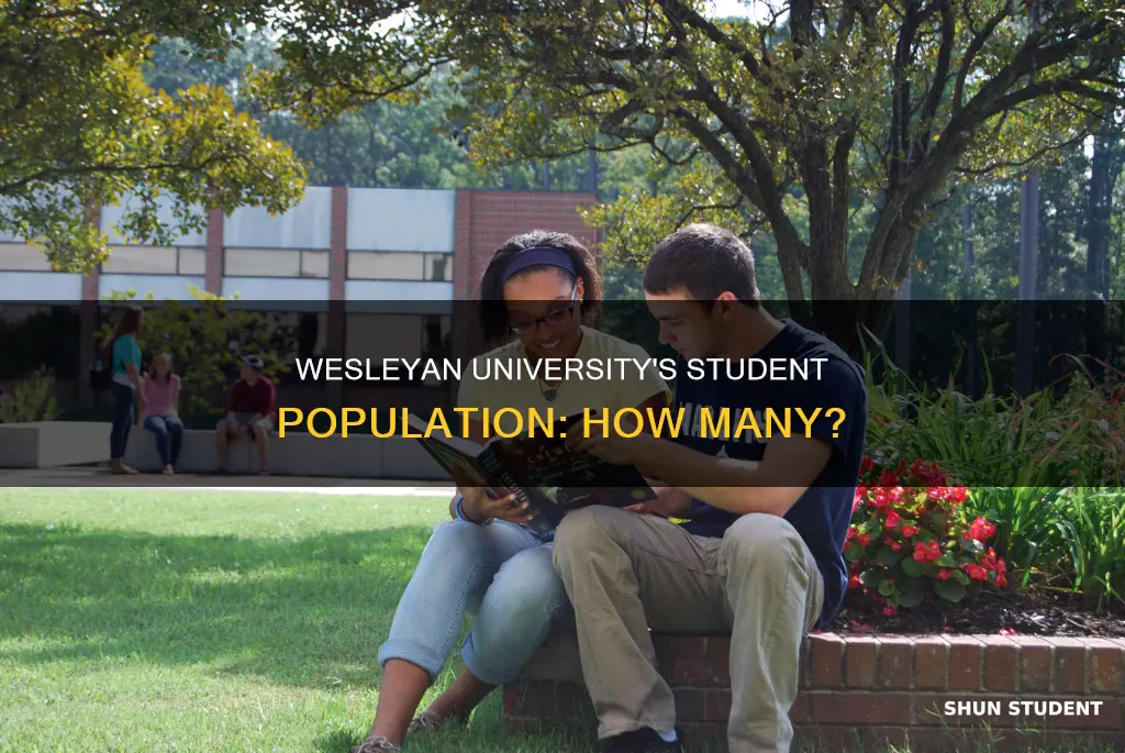 how many students at virginia wesleyan university