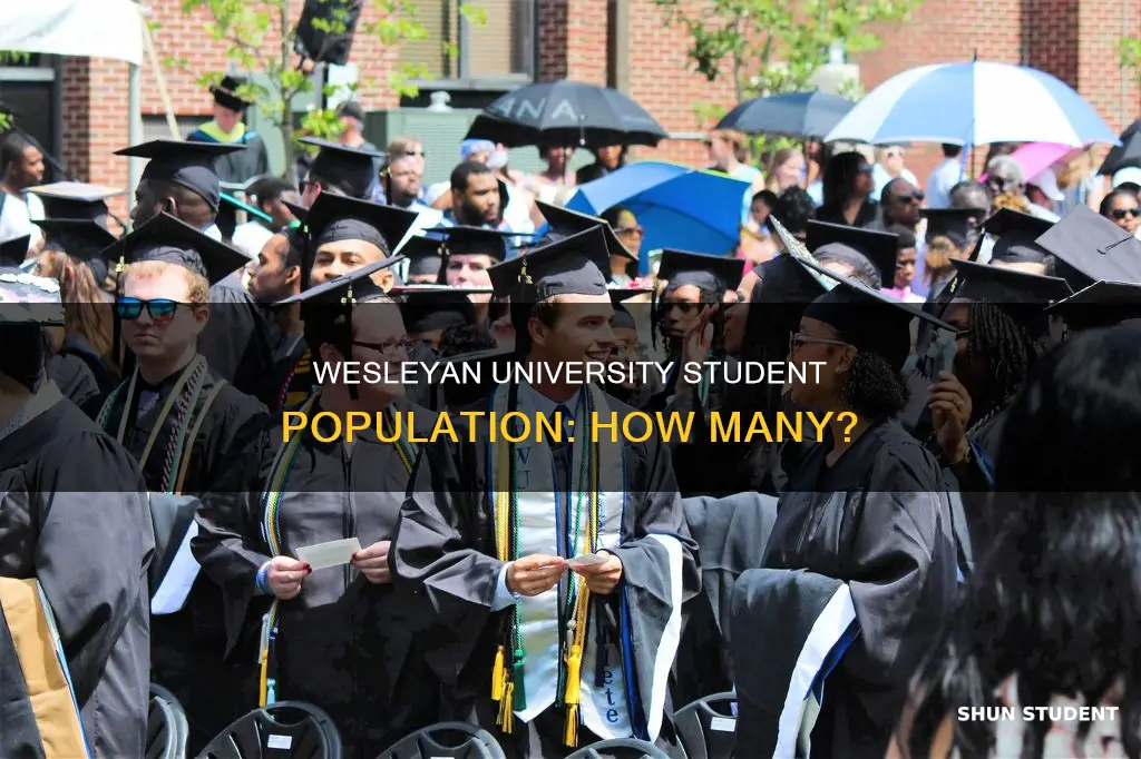how many students at virginia wesleyan university