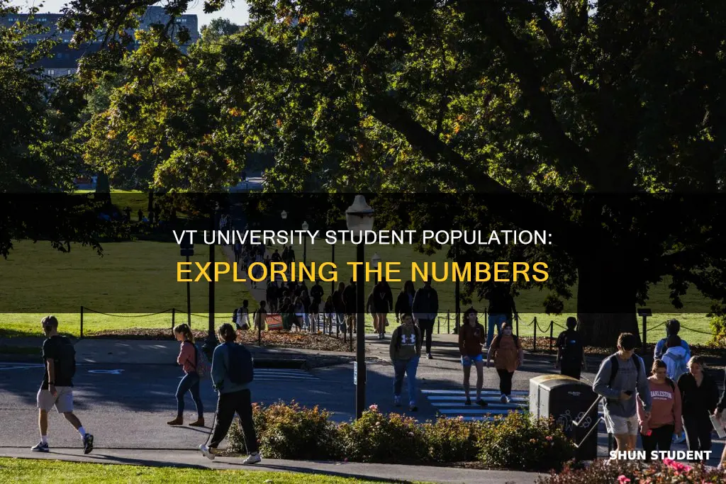 how many students at vt university