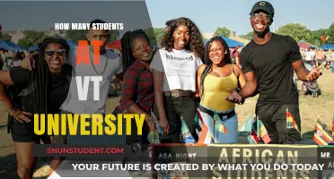 VT University's Student Population: A Comprehensive Overview