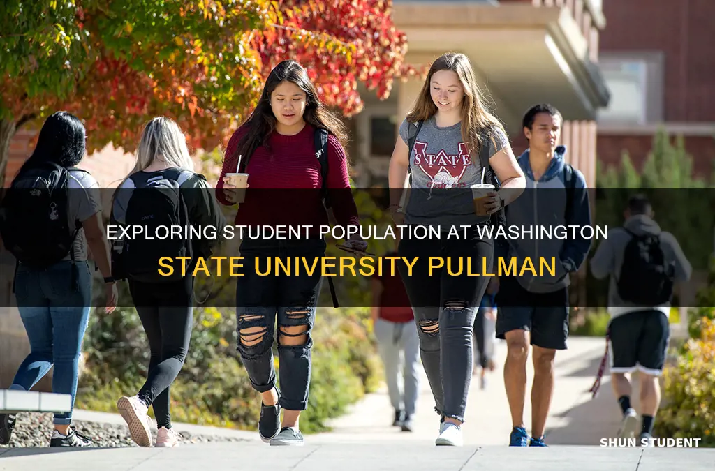 how many students at washington state university pullman