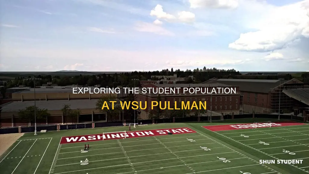 how many students at washington state university pullman