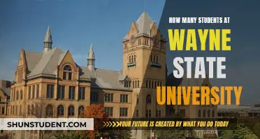 Exploring Enrollment Figures at Wayne State University