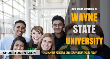 Exploring Enrollment Trends at Wayne State University