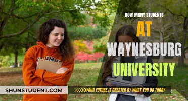 Waynesburg University: A Small School with a Big Impact