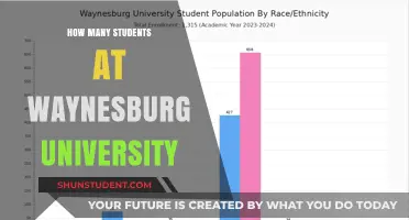 Student Population at Waynesburg University