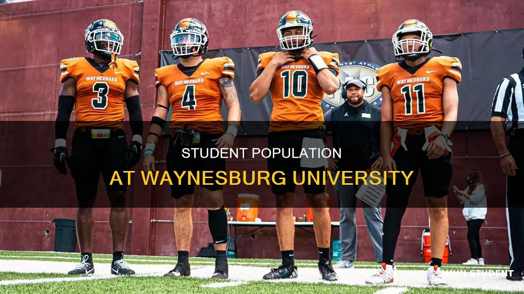 how many students at waynesburg university