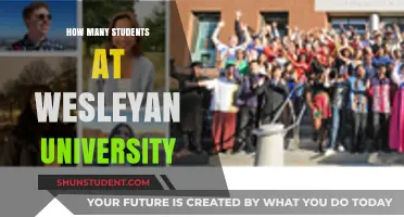 Wesleyan University's Student Population: A Comprehensive Overview