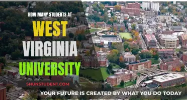 Exploring West Virginia University's Student Population