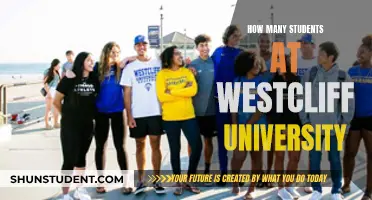 Exploring Westcliff University: Student Population and Campus Life