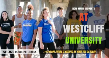 Westcliff University: A Small, Intimate Learning Community