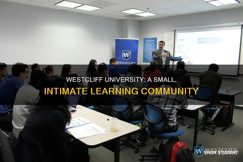 how many students at westcliff university