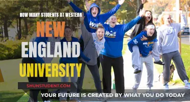 Exploring Western New England University's Student Population