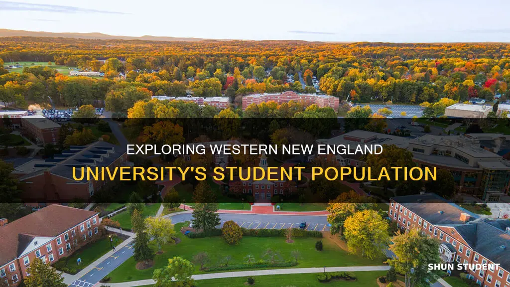 how many students at western new england university